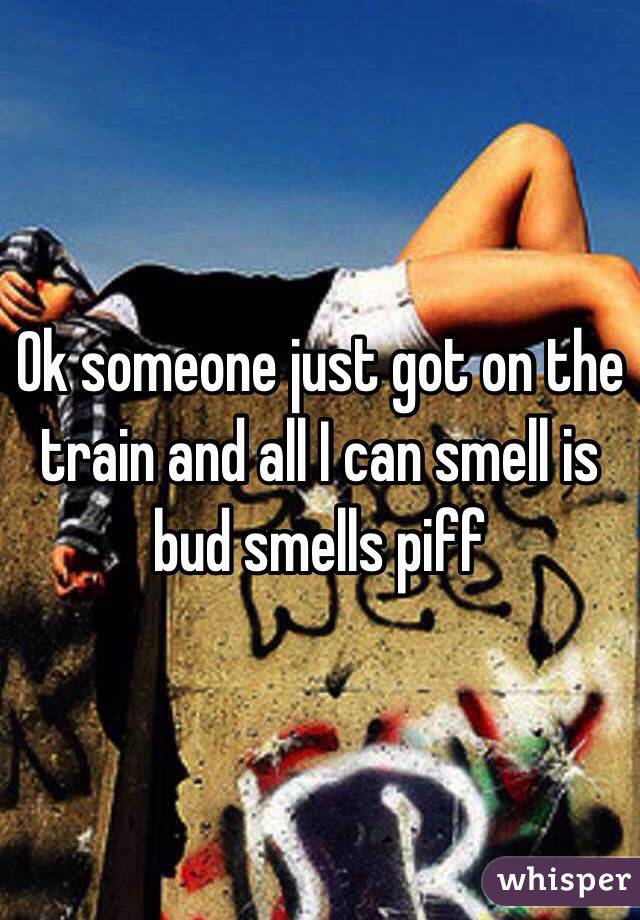 Ok someone just got on the train and all I can smell is bud smells piff 