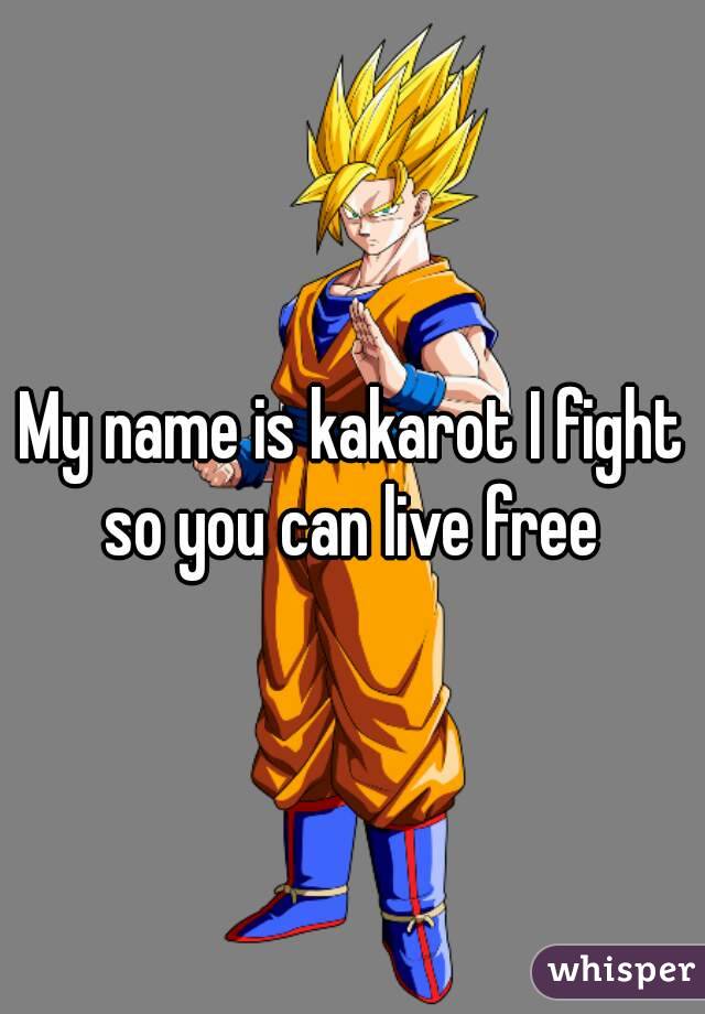 My name is kakarot I fight so you can live free 