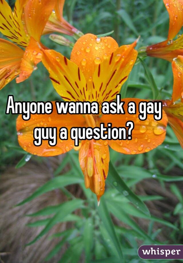 Anyone wanna ask a gay guy a question? 