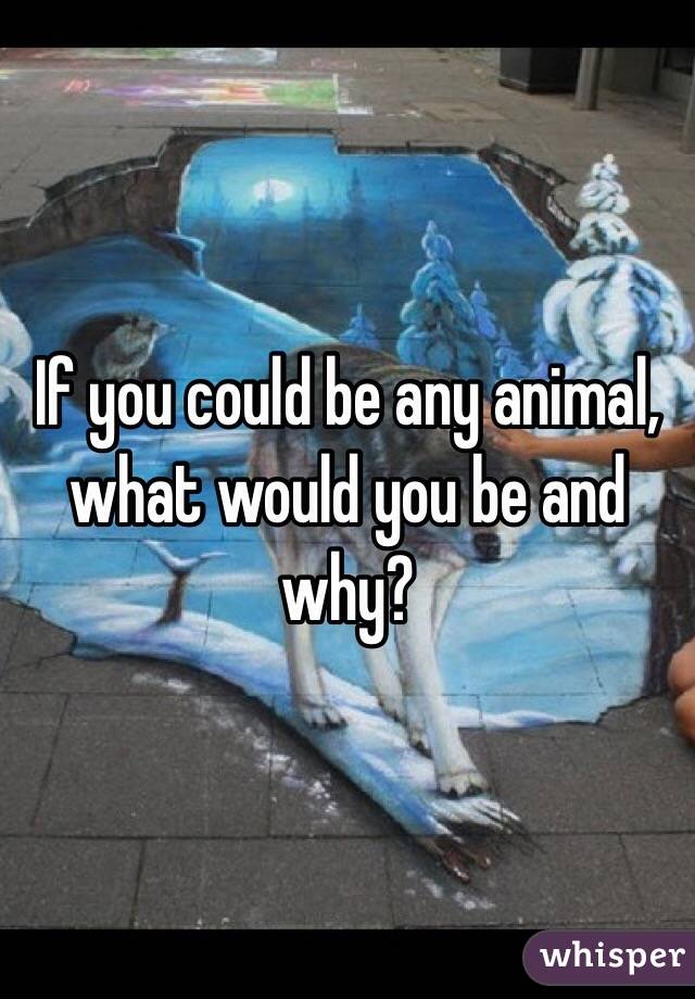 If you could be any animal, what would you be and why?