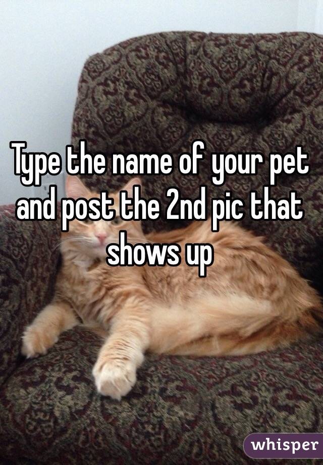 Type the name of your pet and post the 2nd pic that shows up