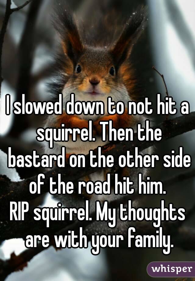 I slowed down to not hit a squirrel. Then the bastard on the other side of the road hit him. 
RIP squirrel. My thoughts are with your family.