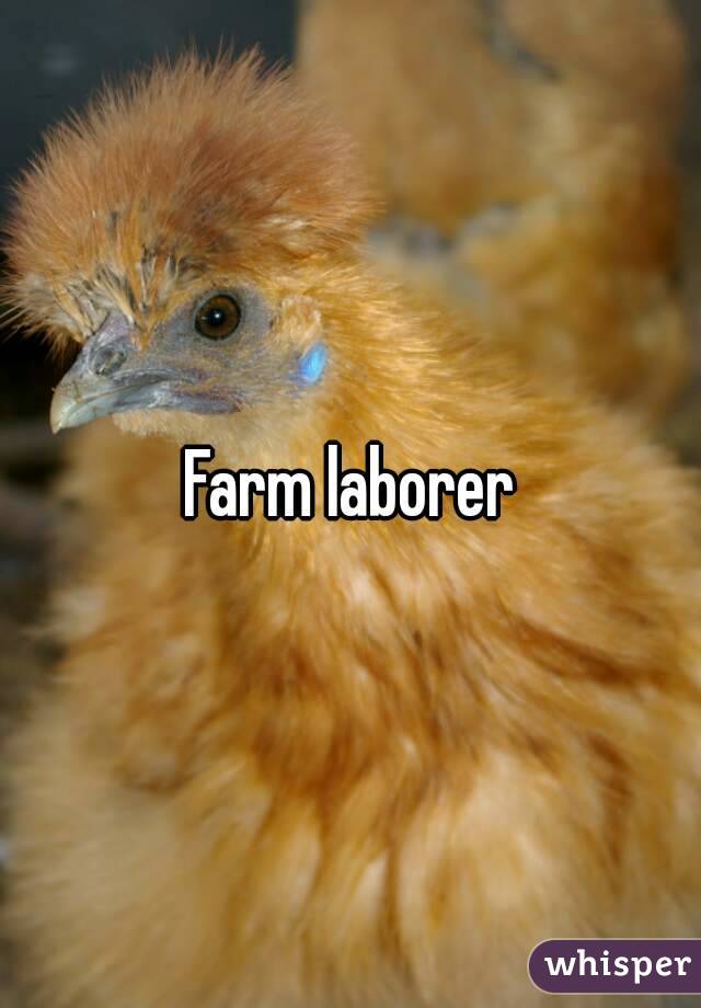 Farm laborer