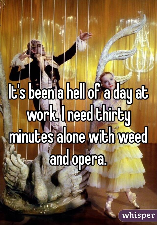 It's been a hell of a day at work. I need thirty minutes alone with weed and opera. 