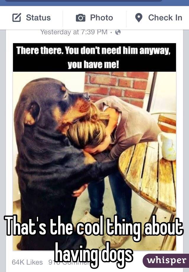 That's the cool thing about having dogs