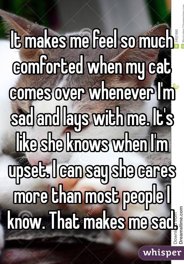 It makes me feel so much comforted when my cat comes over whenever I'm sad and lays with me. It's like she knows when I'm upset. I can say she cares more than most people I know. That makes me sad.