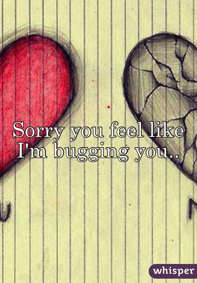 Sorry you feel like I'm bugging you..