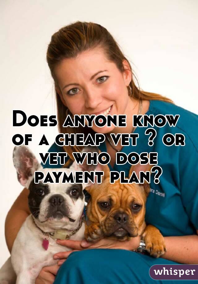 Does anyone know of a cheap vet ? or vet who dose payment plan?