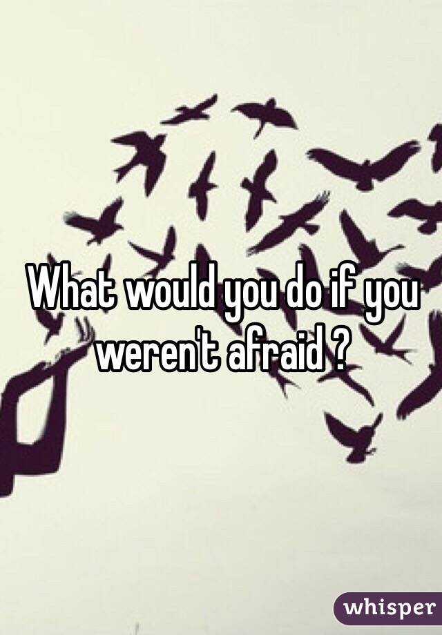 What would you do if you weren't afraid ?