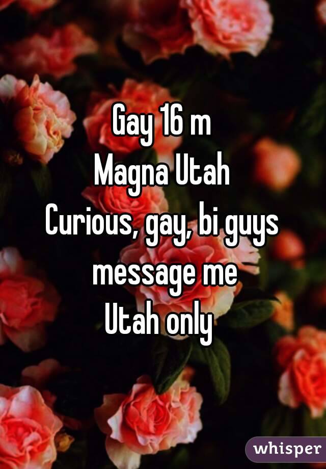 Gay 16 m
Magna Utah
Curious, gay, bi guys message me
Utah only 