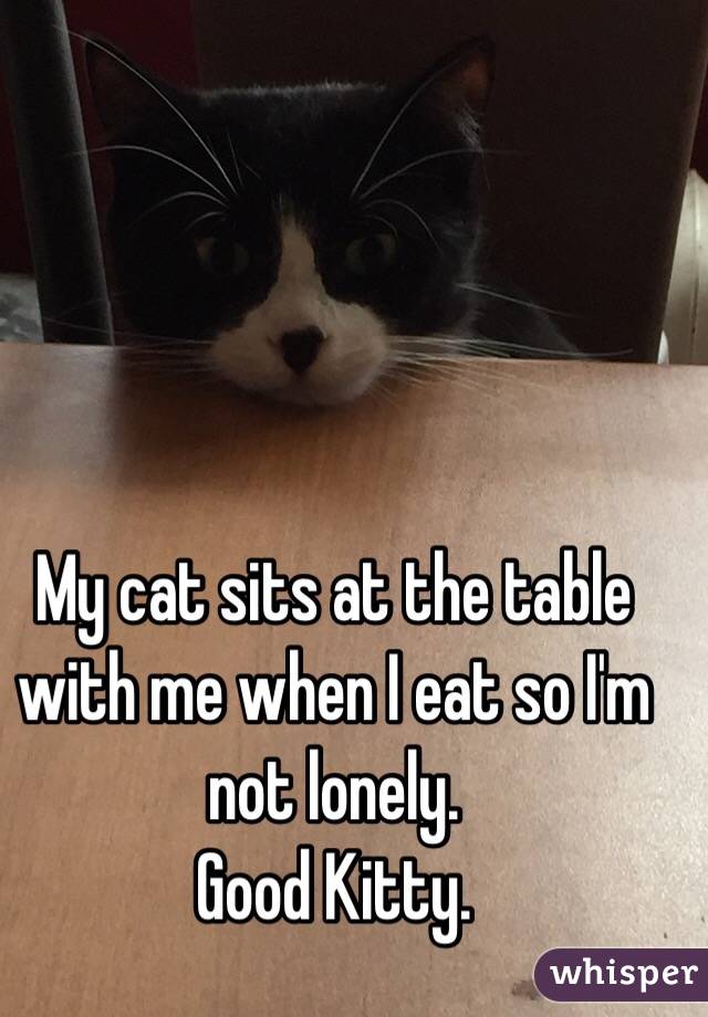 My cat sits at the table with me when I eat so I'm not lonely. 
Good Kitty.