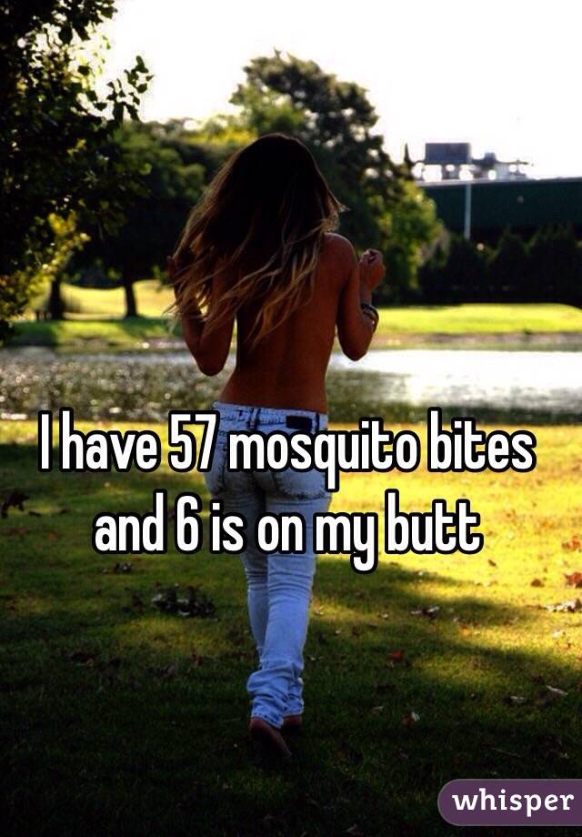 I have 57 mosquito bites and 6 is on my butt 