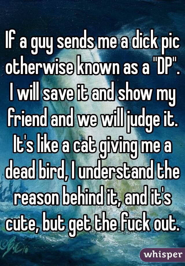 If a guy sends me a dick pic otherwise known as a "DP".
I will save it and show my friend and we will judge it.
It's like a cat giving me a dead bird, I understand the reason behind it, and it's cute, but get the fuck out.