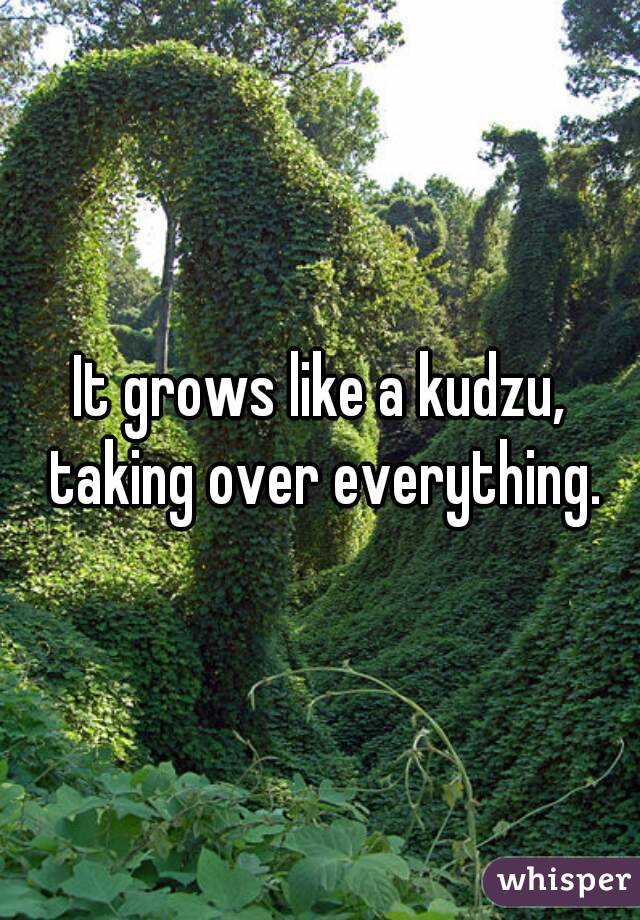 It grows like a kudzu, taking over everything.