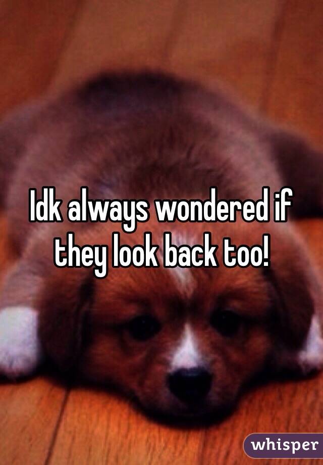 Idk always wondered if they look back too!