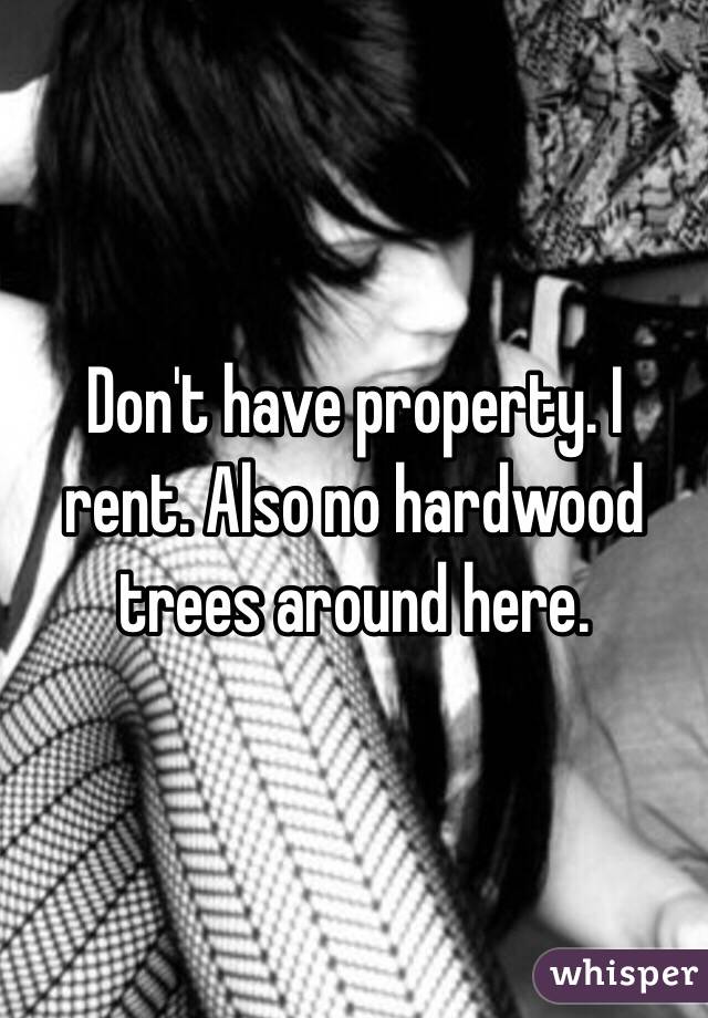 Don't have property. I rent. Also no hardwood trees around here. 