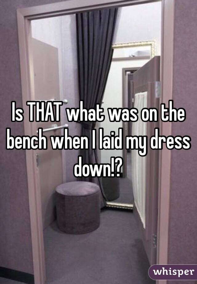 Is THAT what was on the bench when I laid my dress down!? 