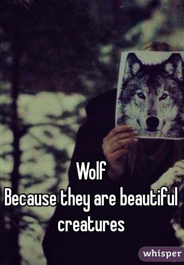 Wolf 
Because they are beautiful creatures 