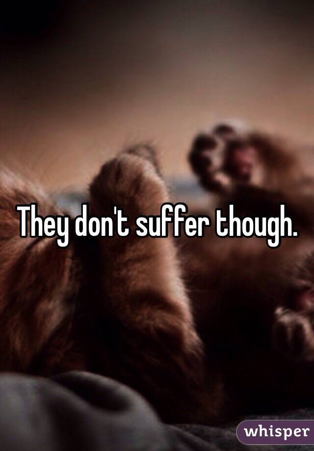 They don't suffer though. 