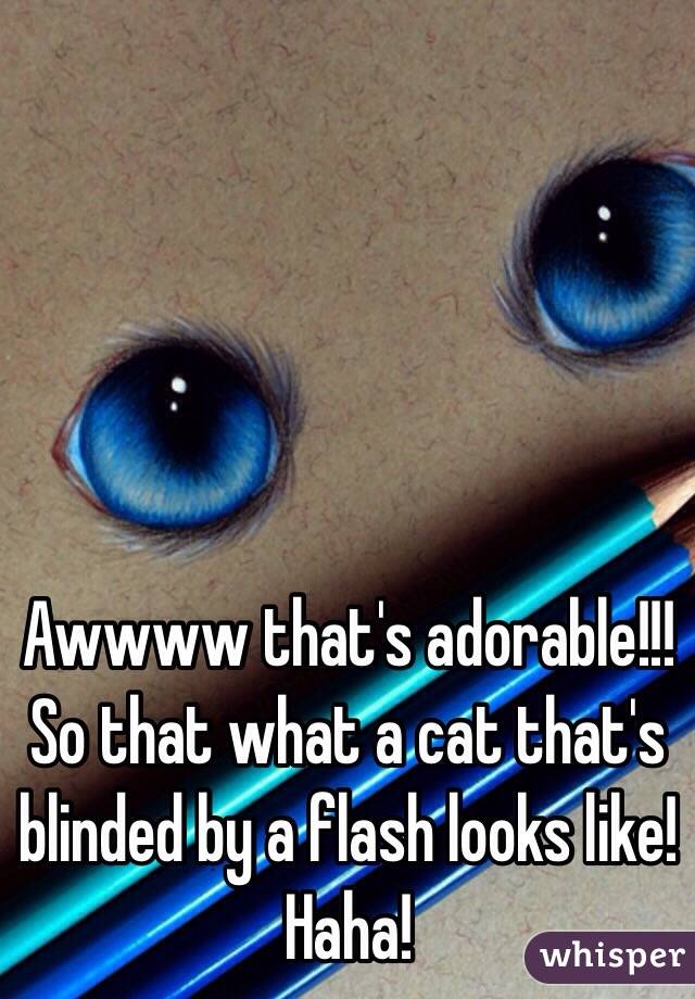 Awwww that's adorable!!! So that what a cat that's blinded by a flash looks like! Haha! 