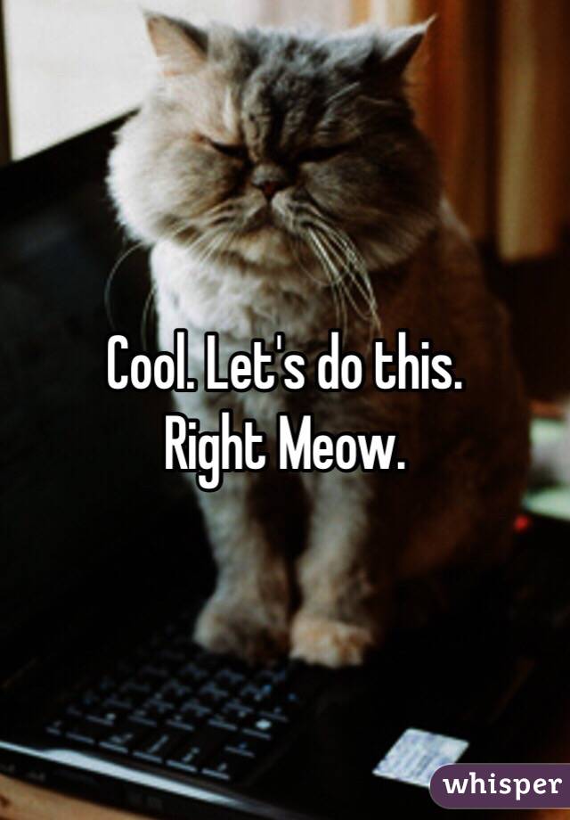 Cool. Let's do this. 
Right Meow. 