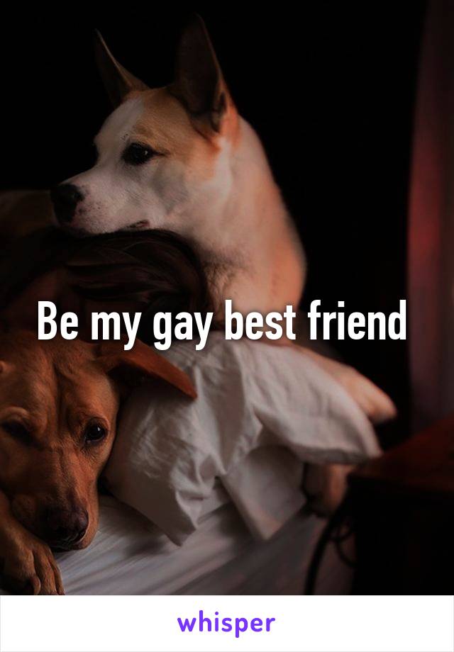 Be my gay best friend 