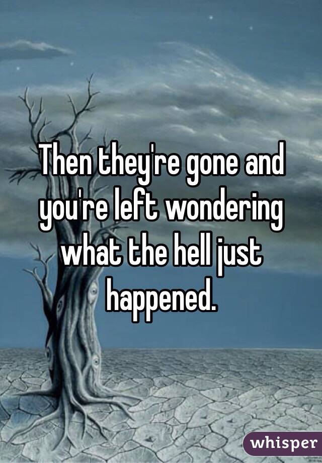 Then they're gone and you're left wondering what the hell just happened.