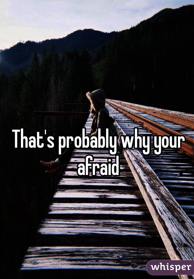 That's probably why your afraid 