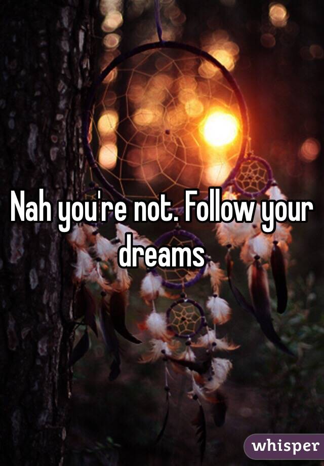 Nah you're not. Follow your dreams