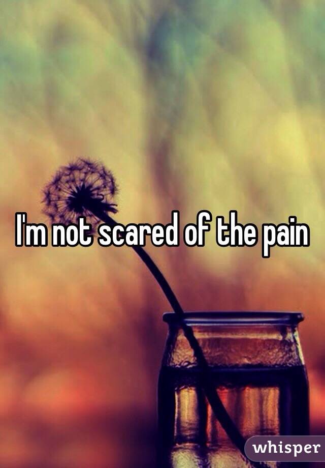 I'm not scared of the pain 