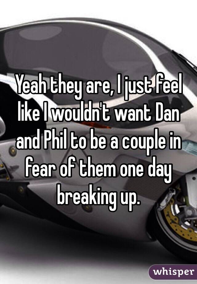 Yeah they are, I just feel like I wouldn't want Dan and Phil to be a couple in fear of them one day breaking up.