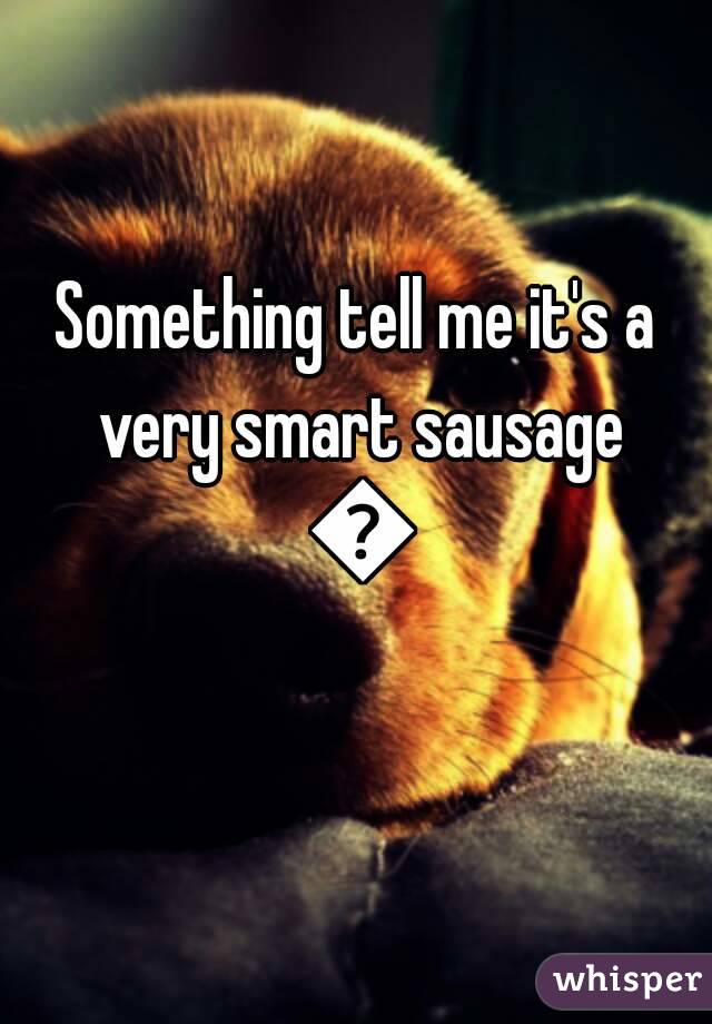 Something tell me it's a very smart sausage 😂