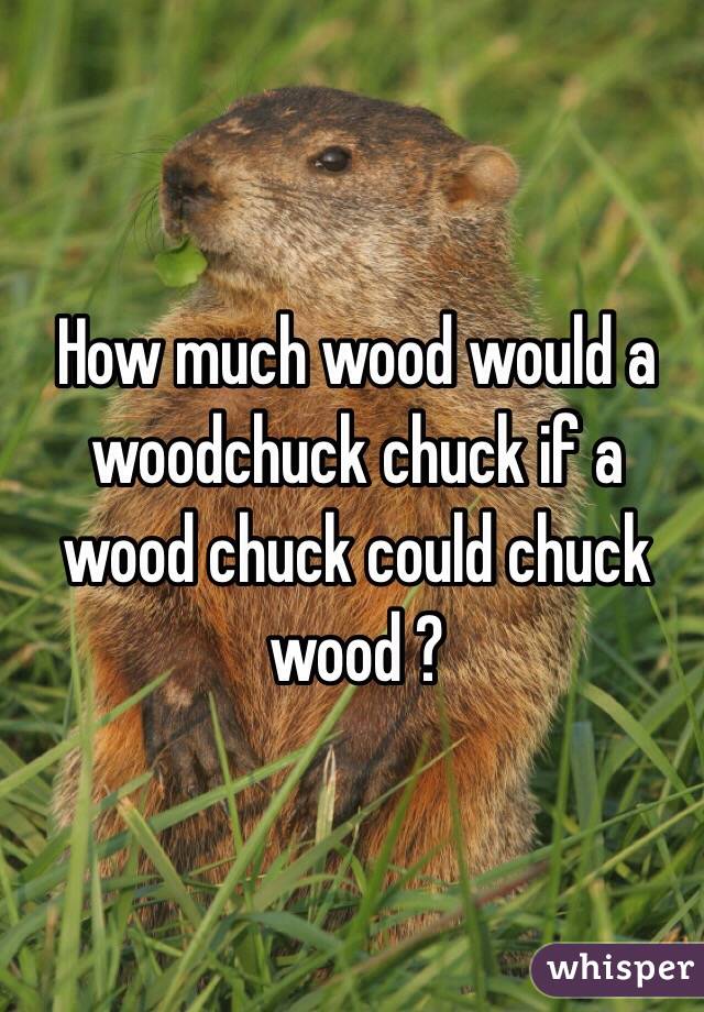 How much wood would a woodchuck chuck if a wood chuck could chuck wood ?