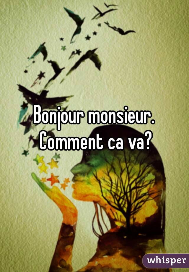 Bonjour monsieur. Comment ca va?