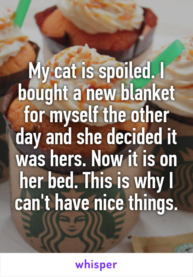 My cat is spoiled. I bought a new blanket for myself the other day and she decided it was hers. Now it is on her bed. This is why I can't have nice things.