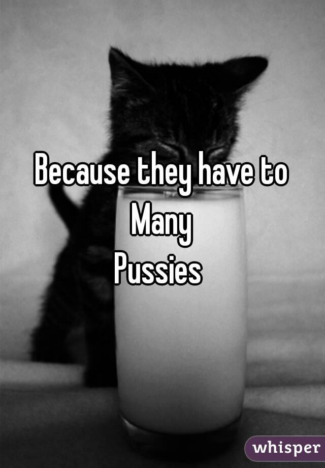 Because they have to Many 
Pussies 