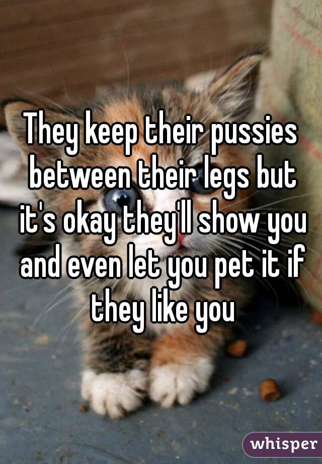 They keep their pussies between their legs but it's okay they'll show you and even let you pet it if they like you