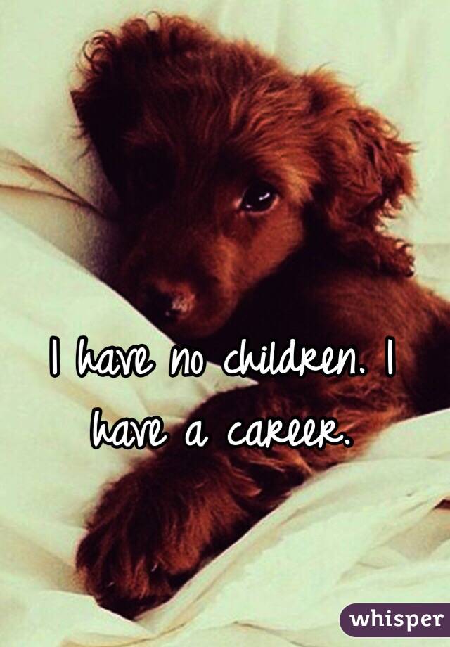 I have no children. I have a career.
