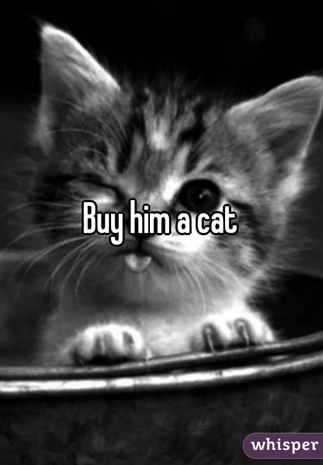 Buy him a cat
