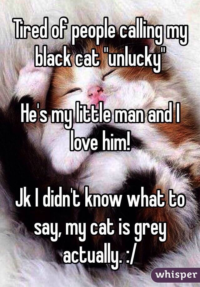 Tired of people calling my black cat "unlucky"

He's my little man and I love him!

Jk I didn't know what to say, my cat is grey actually. :/