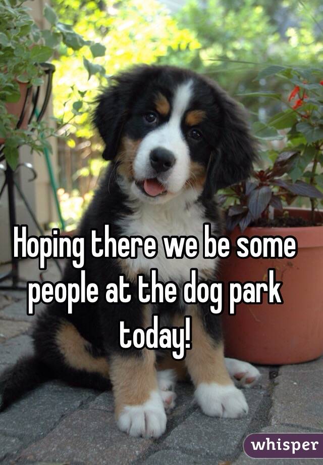 Hoping there we be some people at the dog park today!