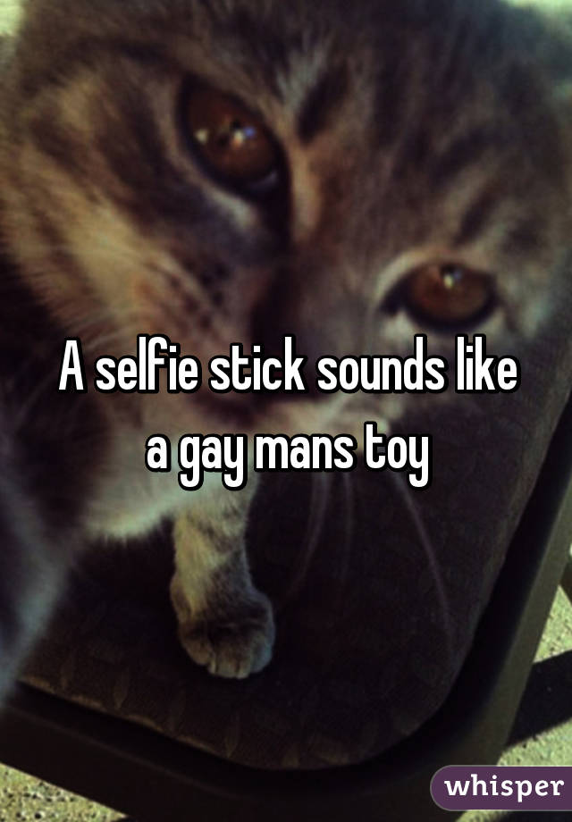 A selfie stick sounds like a gay mans toy