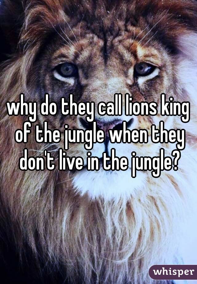 why do they call lions king of the jungle when they don't live in the jungle?