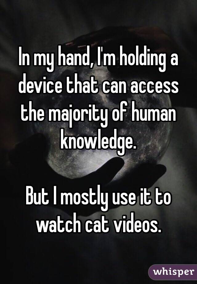 In my hand, I'm holding a device that can access the majority of human knowledge. 

But I mostly use it to watch cat videos.