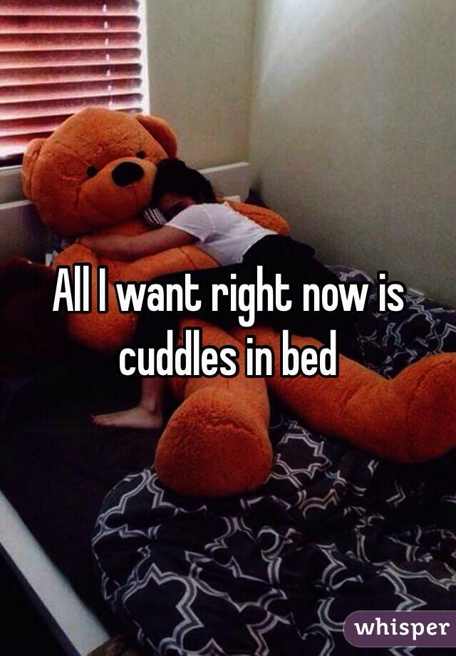 All I want right now is cuddles in bed