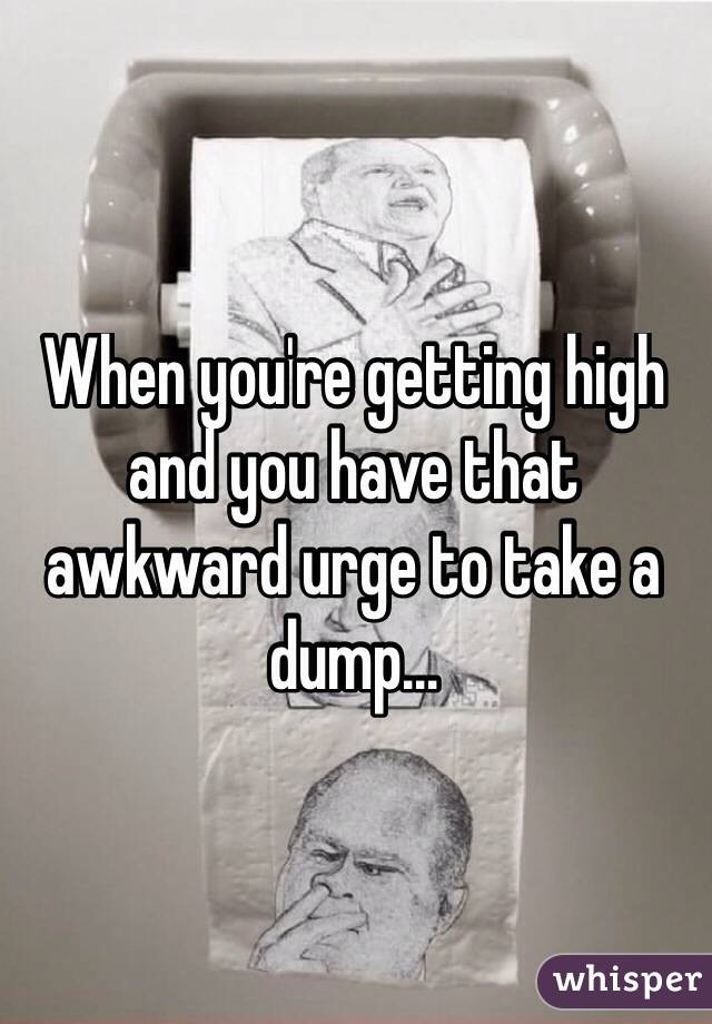 When you're getting high and you have that awkward urge to take a dump…
