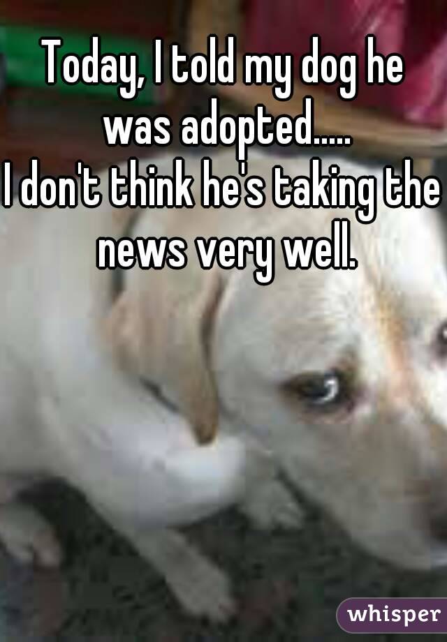 Today, I told my dog he was adopted.....
I don't think he's taking the news very well.