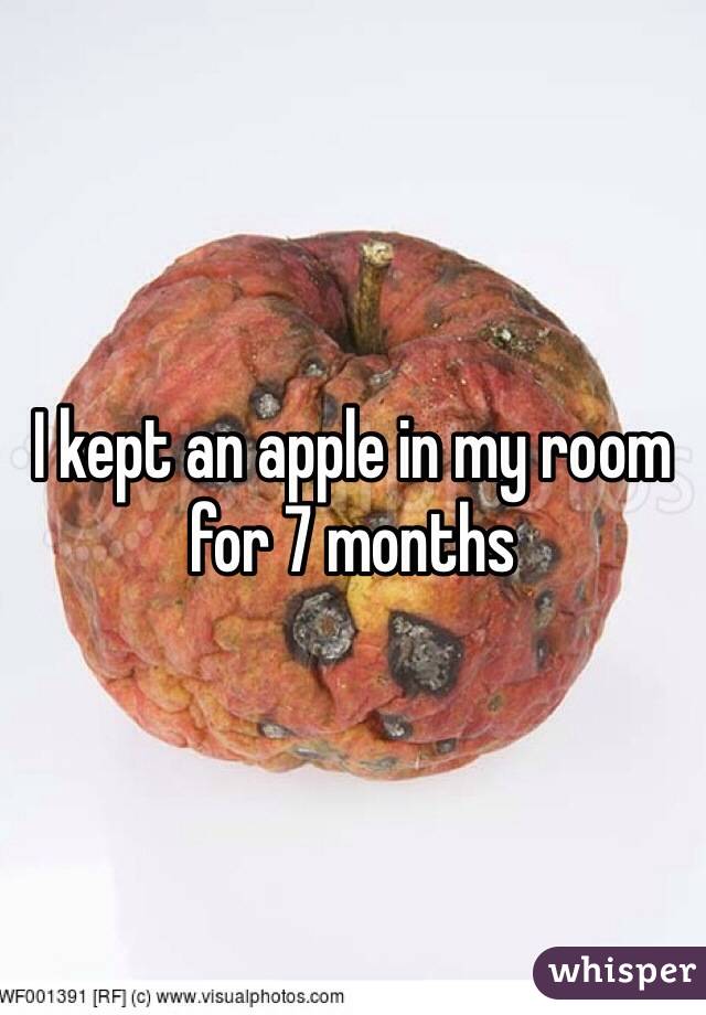 I kept an apple in my room for 7 months 