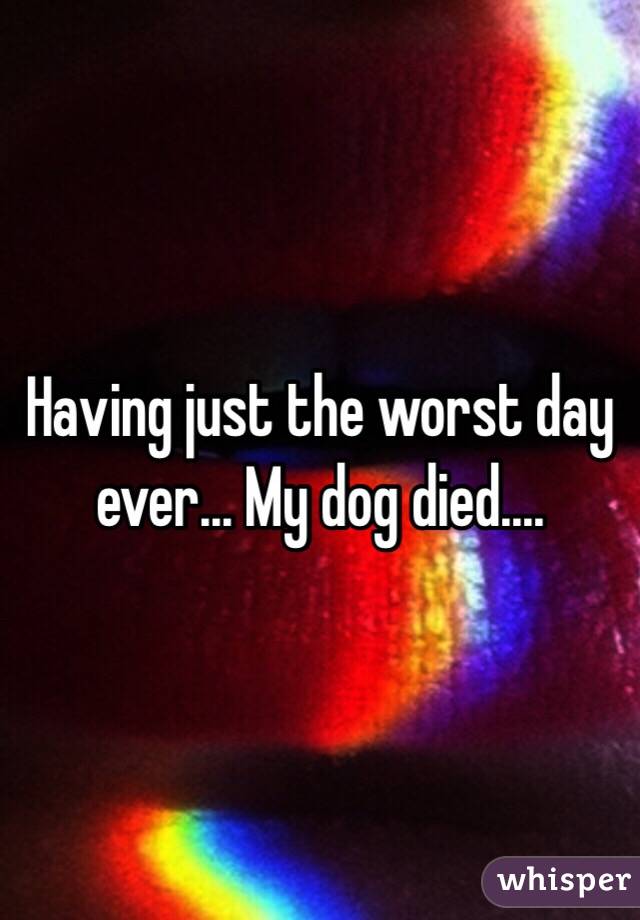 Having just the worst day ever... My dog died.... 