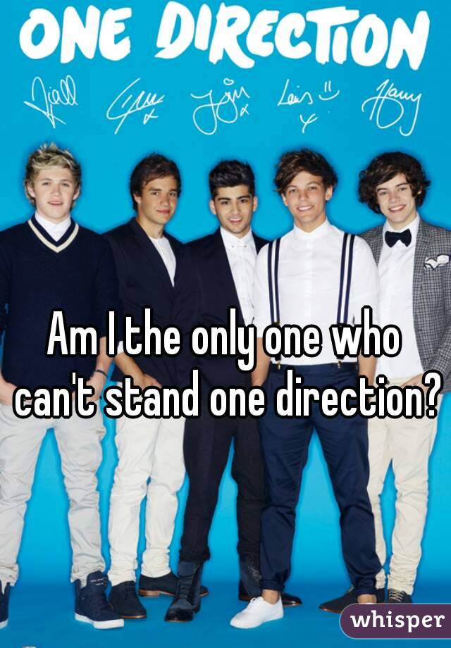 Am I the only one who can't stand one direction? 